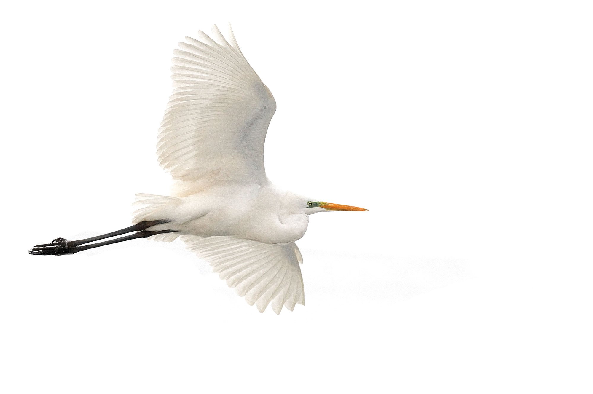 Ballston's 'Beaver Pond' is Getting a Makeover