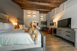 Cove Creek Lodge