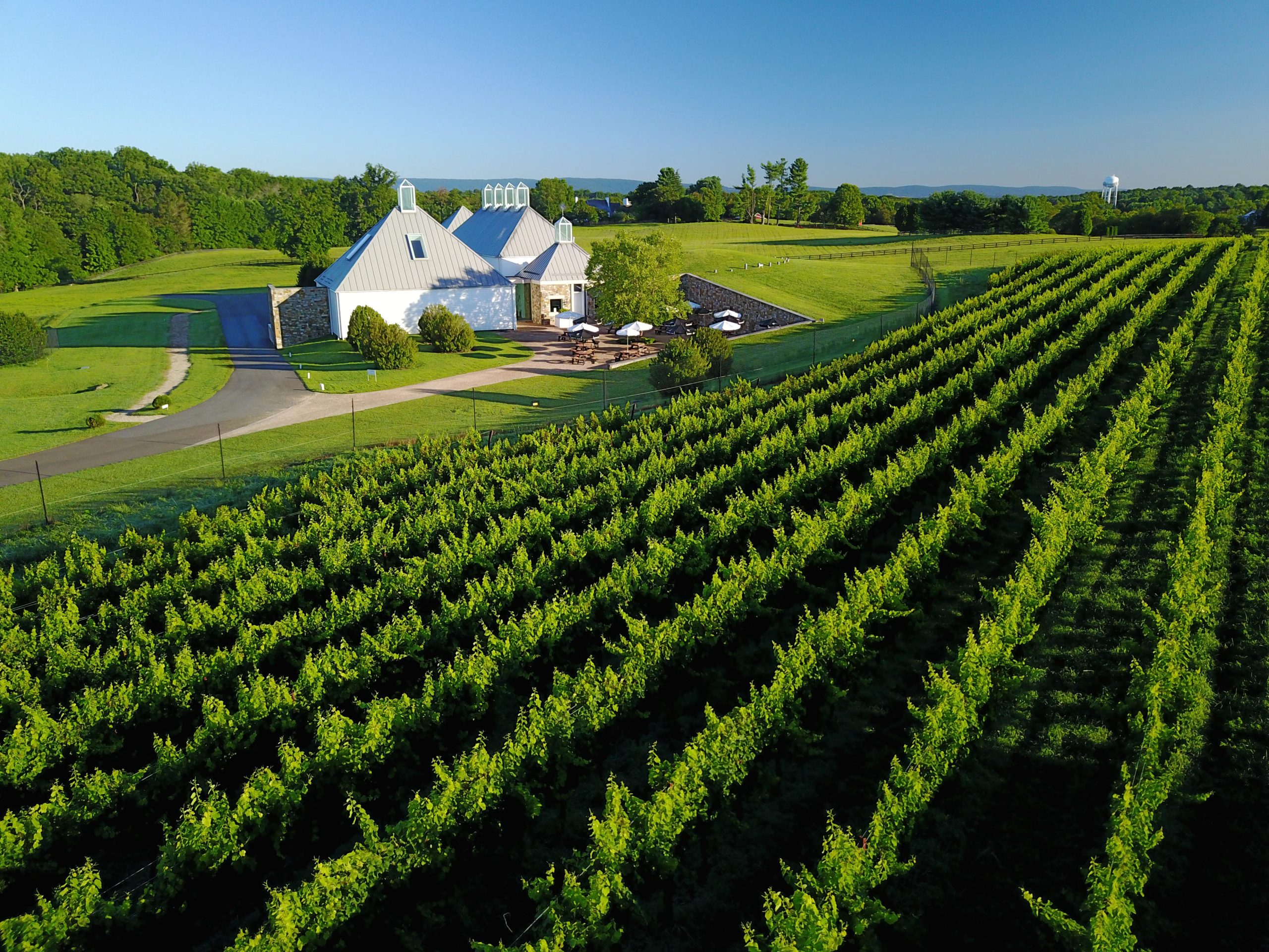 Boxwood Winery 