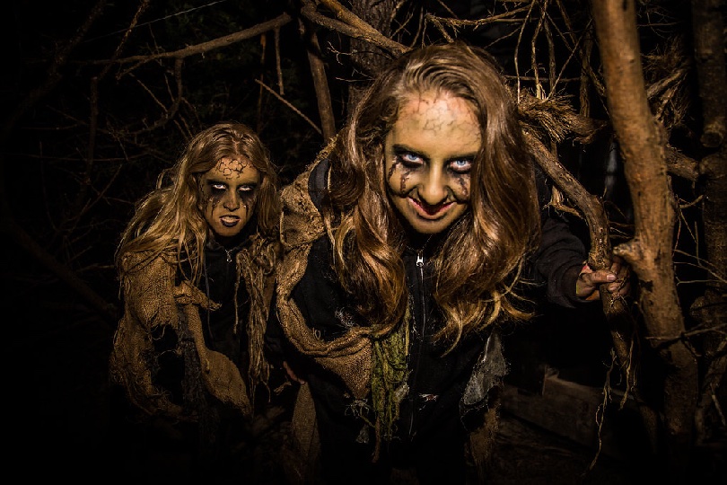 Cox_fields_of_fear