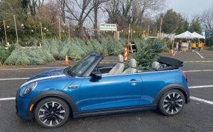 Christmas tree, Optimist Club sale