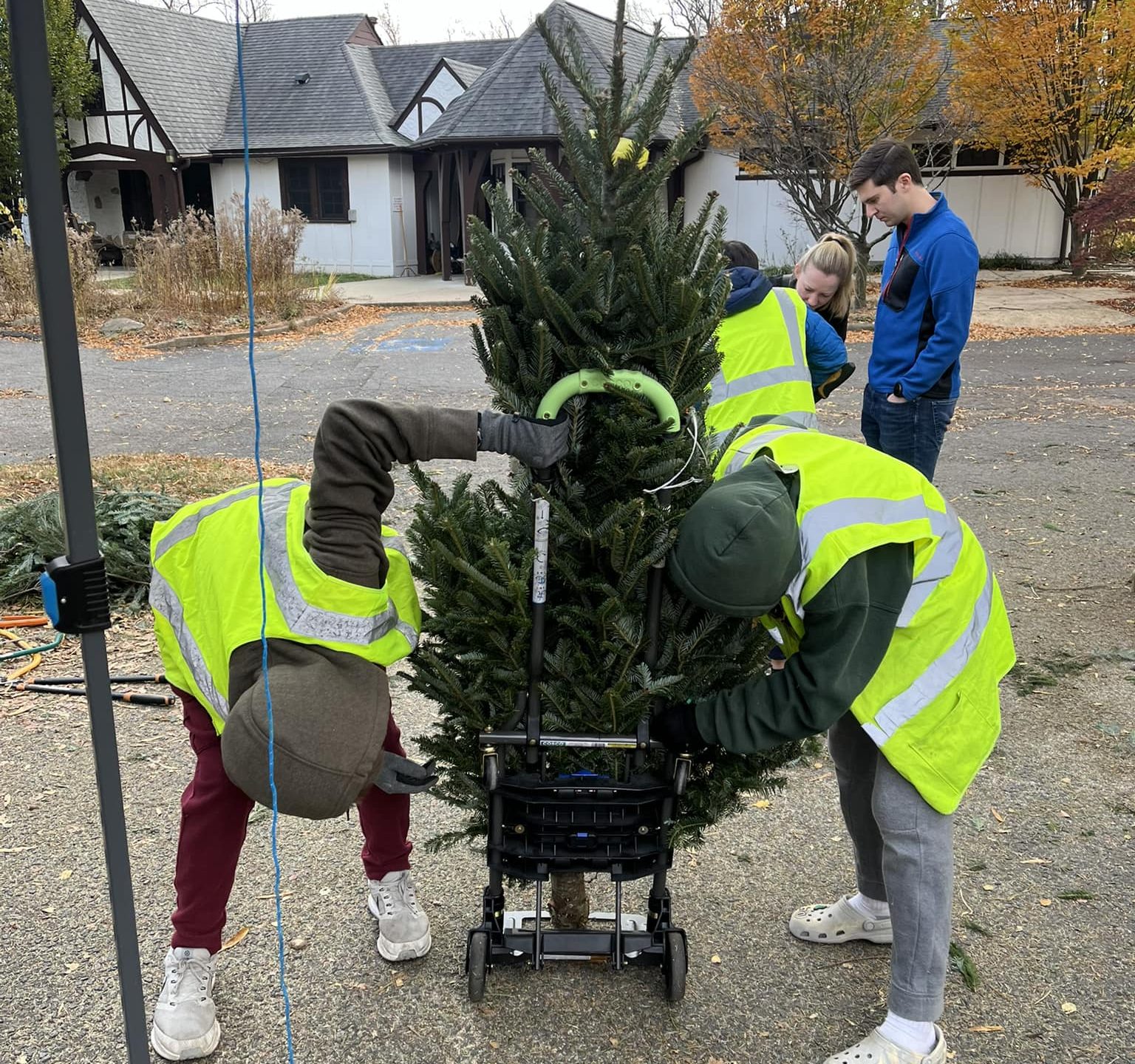 Christmas tree, Troop 162 sale 