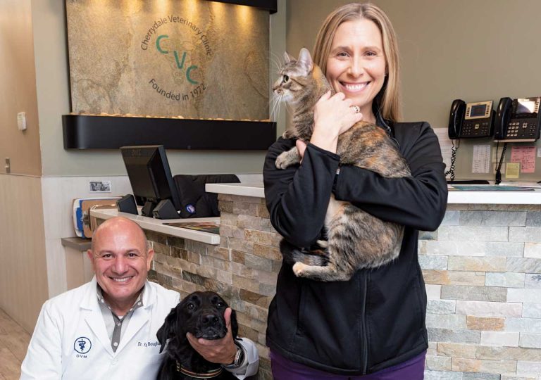 Cherrydale Veterinary Clinic