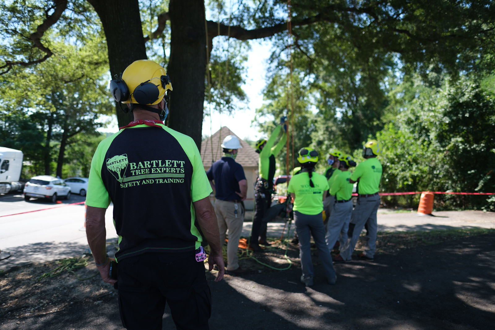 Bartlett Tree Experts