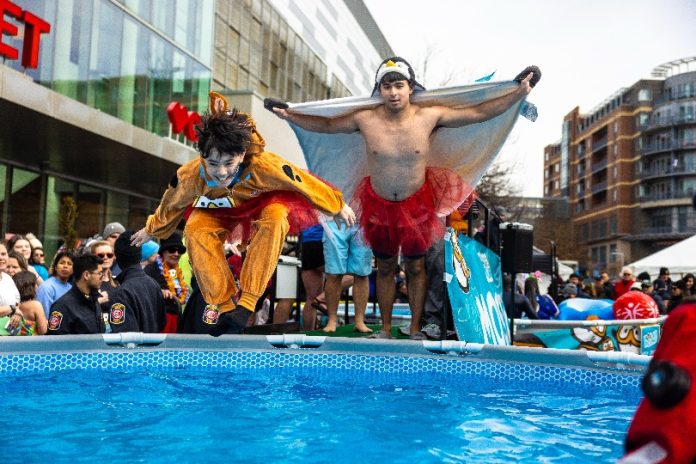 Mosaic_Polar_plunge