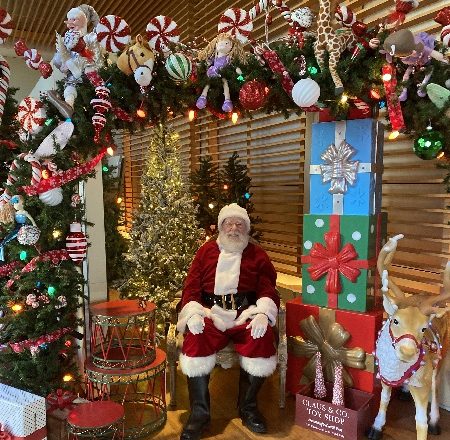 Salamander_DC_holidays