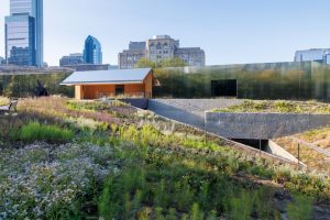 Philadelphia's Calder Gardens