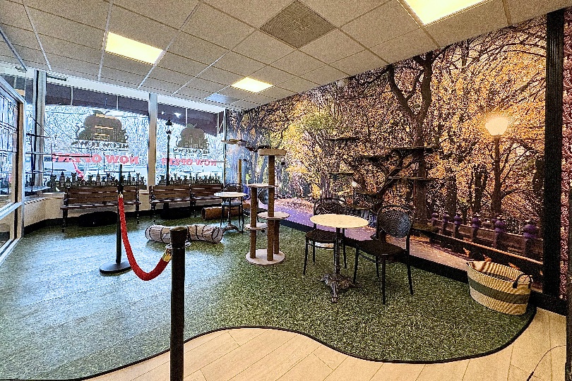 meowtown_central park