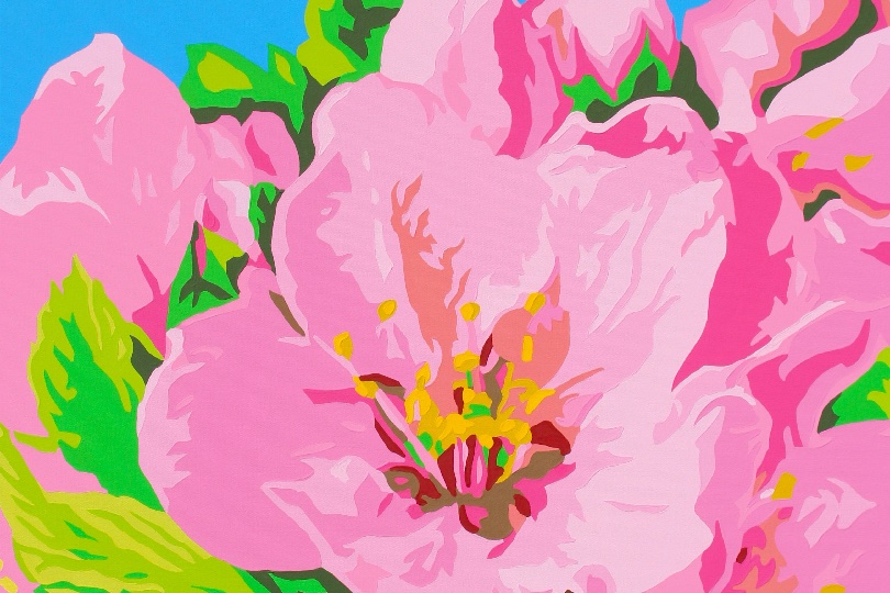 amoroso_cherry_blossom