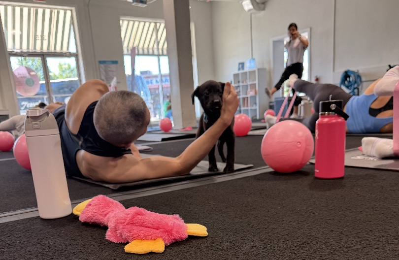 puppies_and_pilates_pets