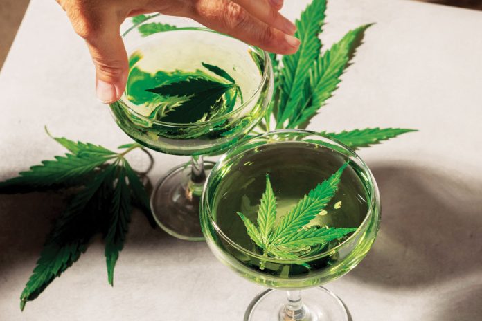 cannabis vs. alcohol
