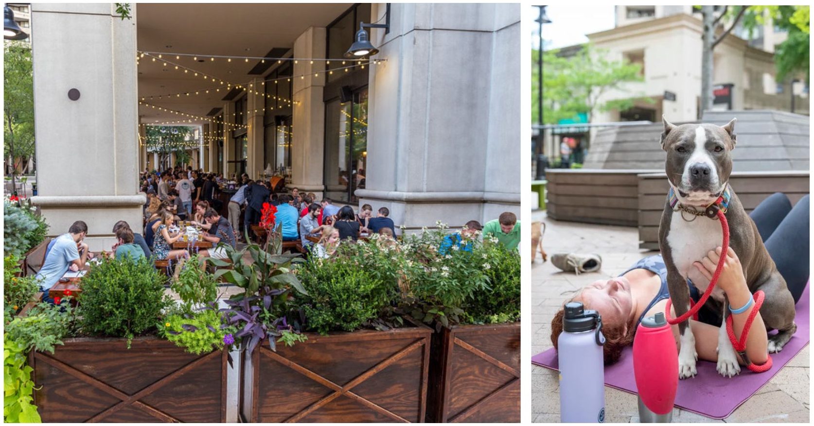 Courthaus Social patio and dog yoga