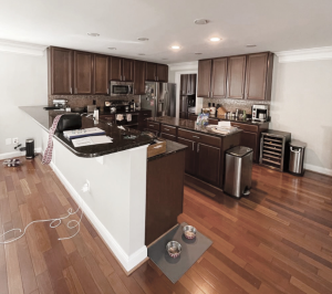 Waverly Hills kitchen remodel