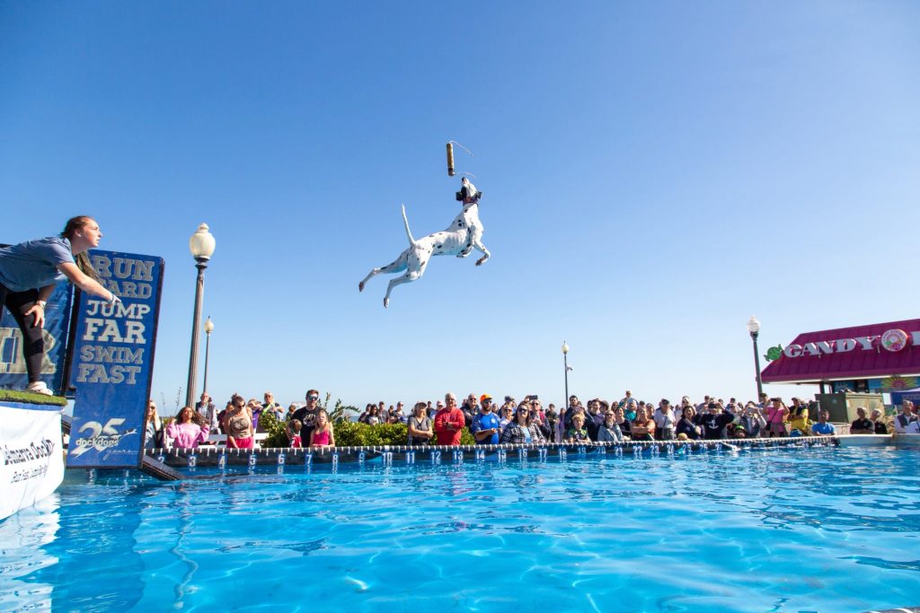 Things to Do In and Around Arlington In August