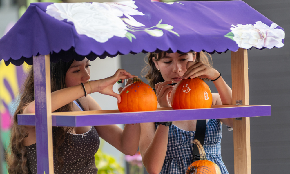Fall Festivals Around the DMV