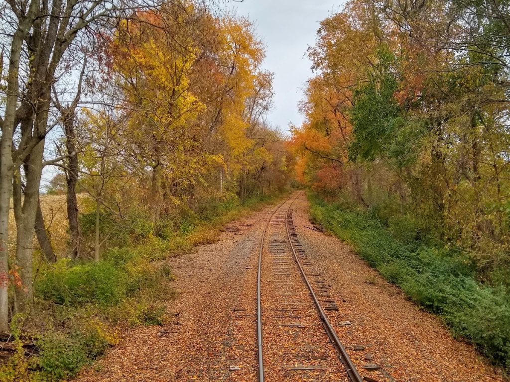 Fall Foliage Train Rides in the Mid-Atlantic
