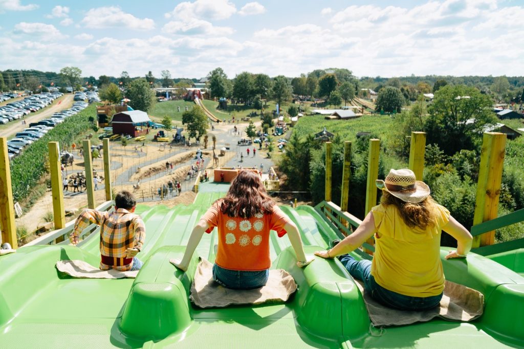 Fall Festivals Around the DMV