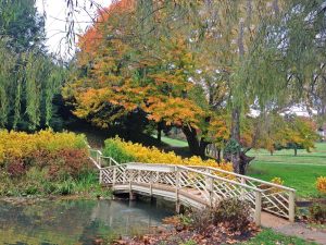 The Boar's Head Resort in Charlottesville