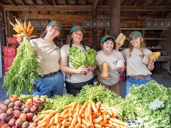 Farms Work Wonders’ Lewis Farm