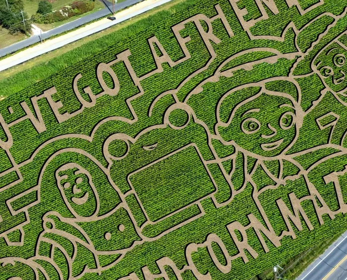 MD Corn Maze, Gambrills, MD MD Corn Maze, Gambrills, MD