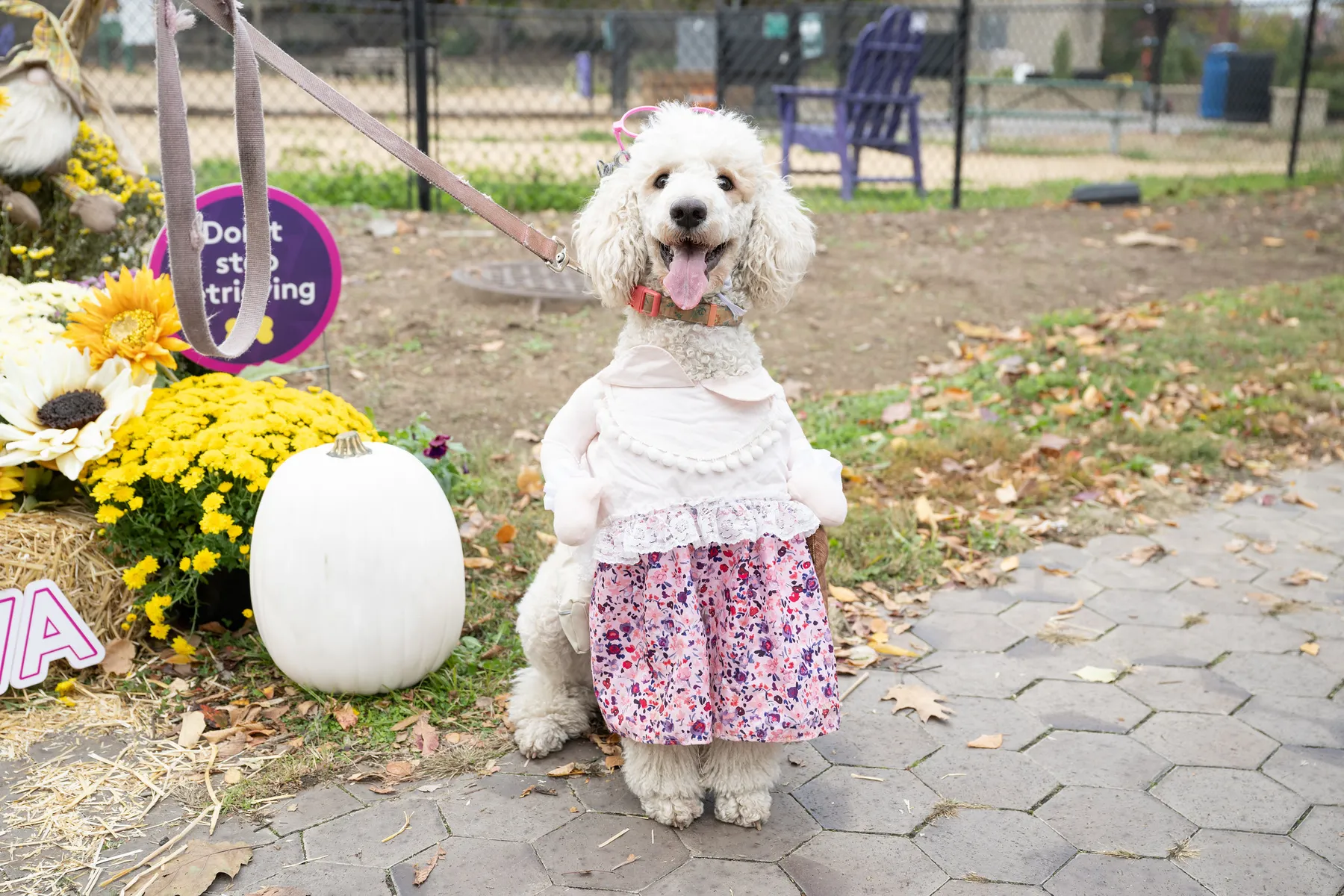 Howloween at Gateway Park in Rosslyn